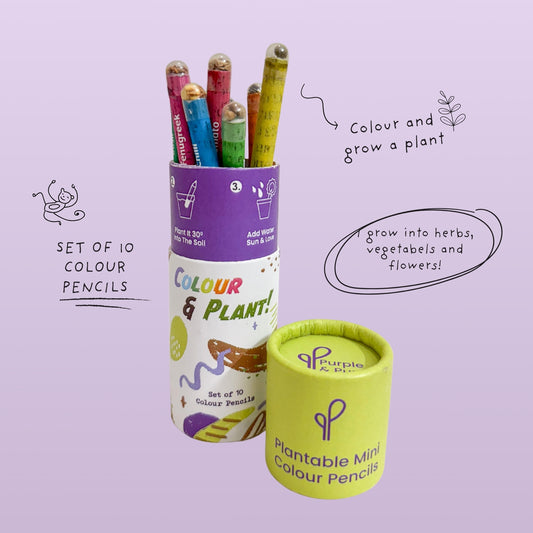 Purple & Pure Plantable Seed Coloured Pencils (Set of 10)