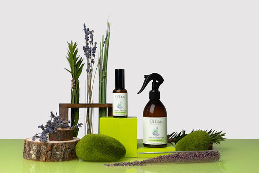 Ollie Chemical Free Yoga Mat Sanitizer