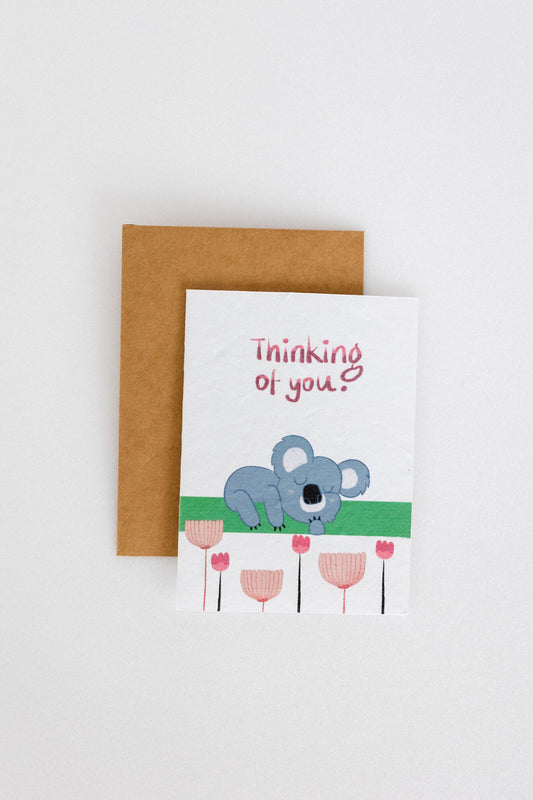 Eco-Friendly & Sustainable Plantable Greeting Cards - Everyday Cards