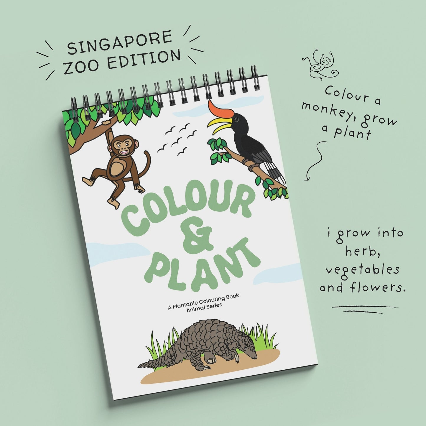 Purple & Pure Plantable Colouring Book for Kids - Zoo Edition
