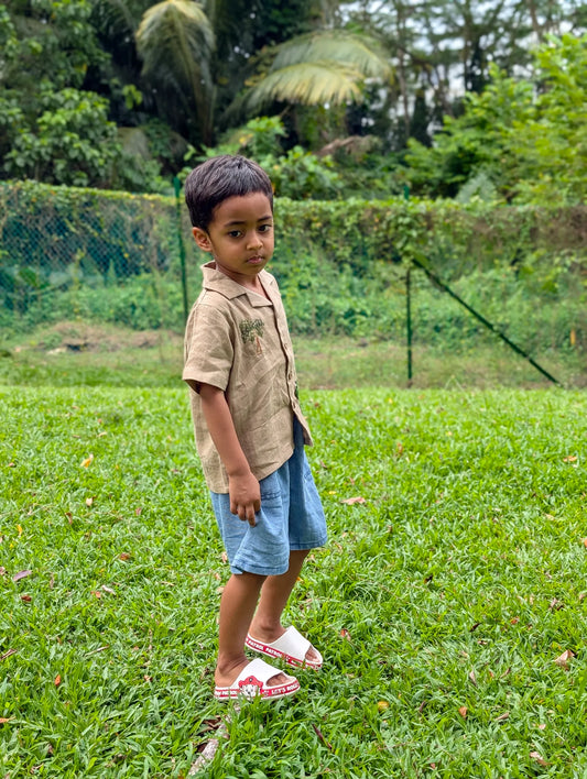 The Purestitch Brown Dinosaur Shirt