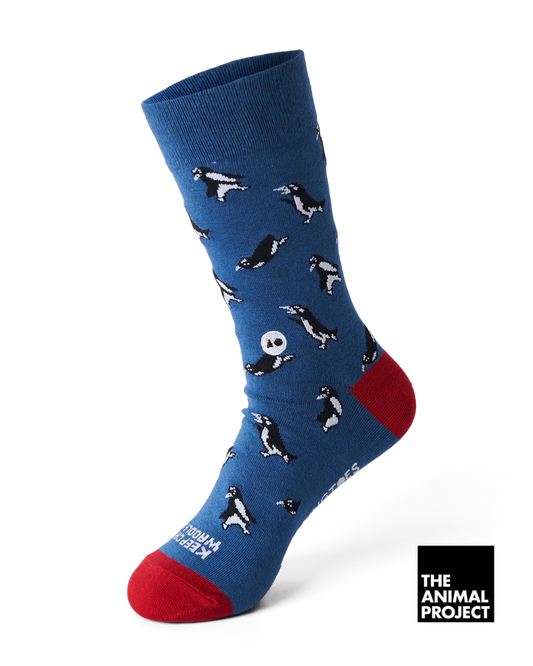 Talking Toes Keep Calm Penguin One Size Crew Socks for Adults