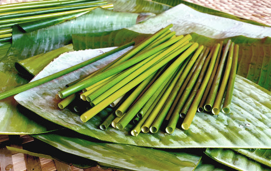 EQUO Grass Straw extra long Size 50ct pack | Tableware | The Green Collective SG