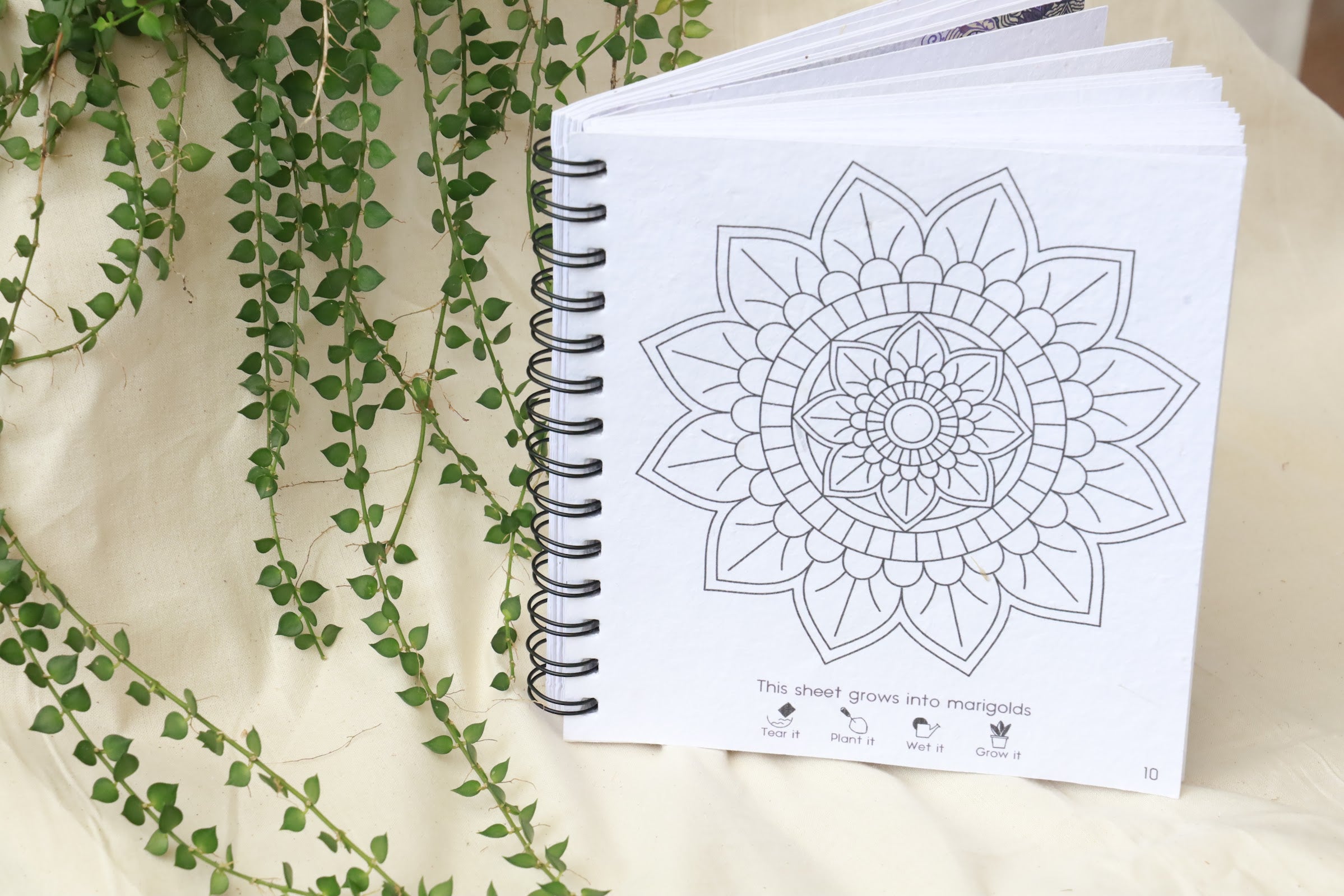 Mandala colouring Book | kids Fashion | The Green Collective SG