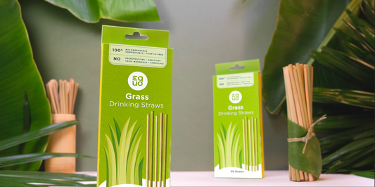 EQUO Grass Straw Standard Size 50ct pack | Tableware | The Green Collective SG