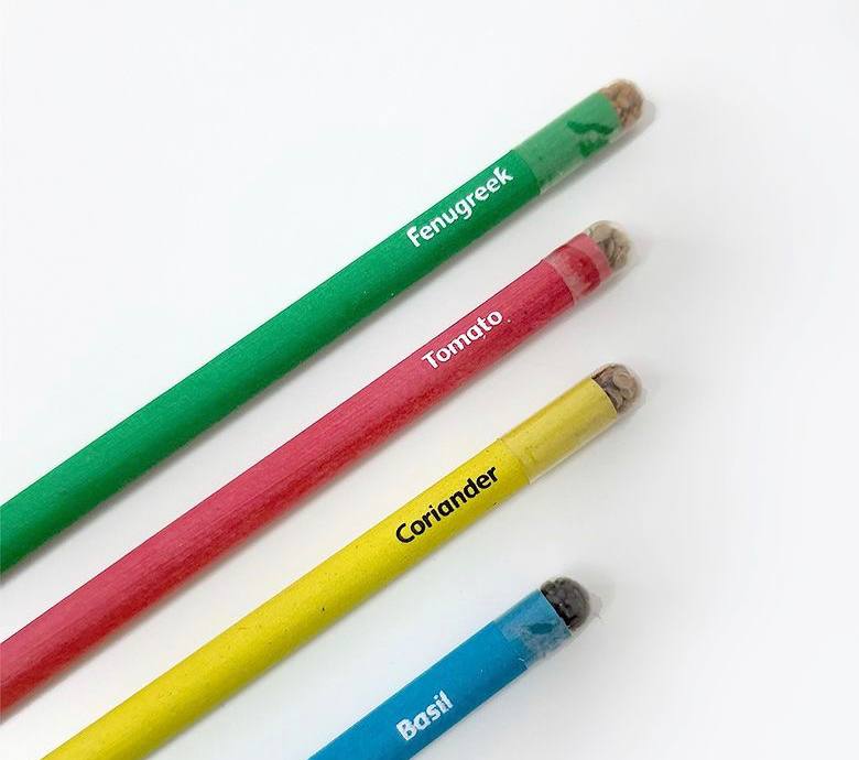 Purple & Pure  EcoGrow Seed Pencils - Set of 5 with Herbs and Flowers