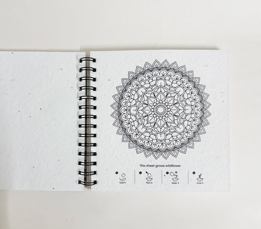 Purple & Pure Plantable Mandala Colouring Book