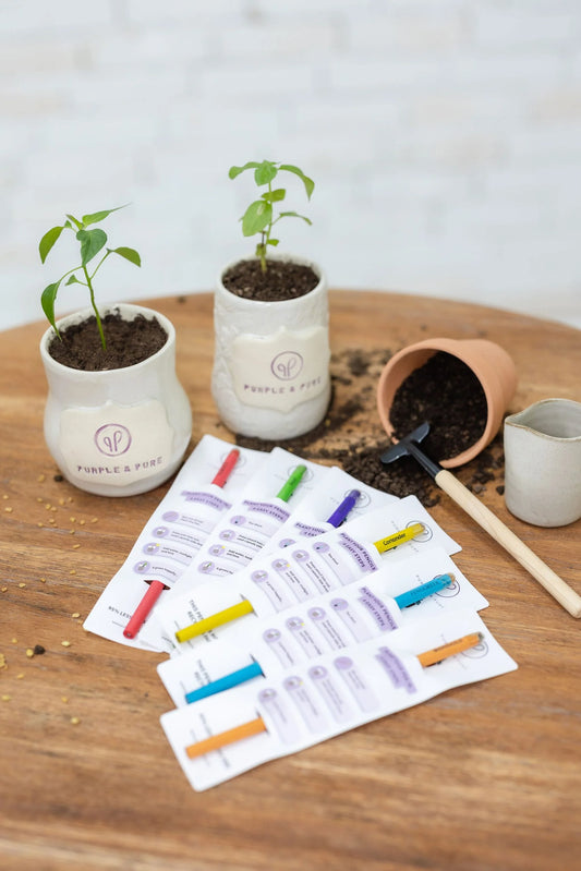 Purple & Pure Eco-Friendly & Plantable Seed Pencils