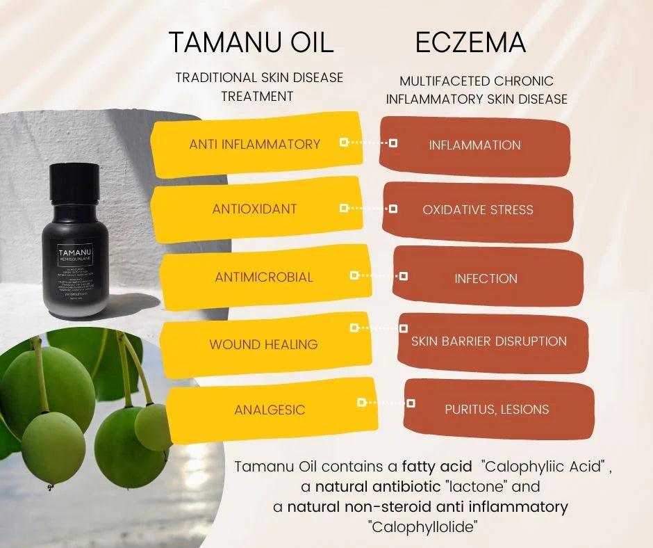 Tamanu Moisturiser by Zeromultiple | Available at The Green Collective