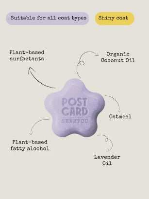 Postcard Grooming Room Solid Shampoo Bar (for Pets) 60 gm | PETS | The Green Collective SG