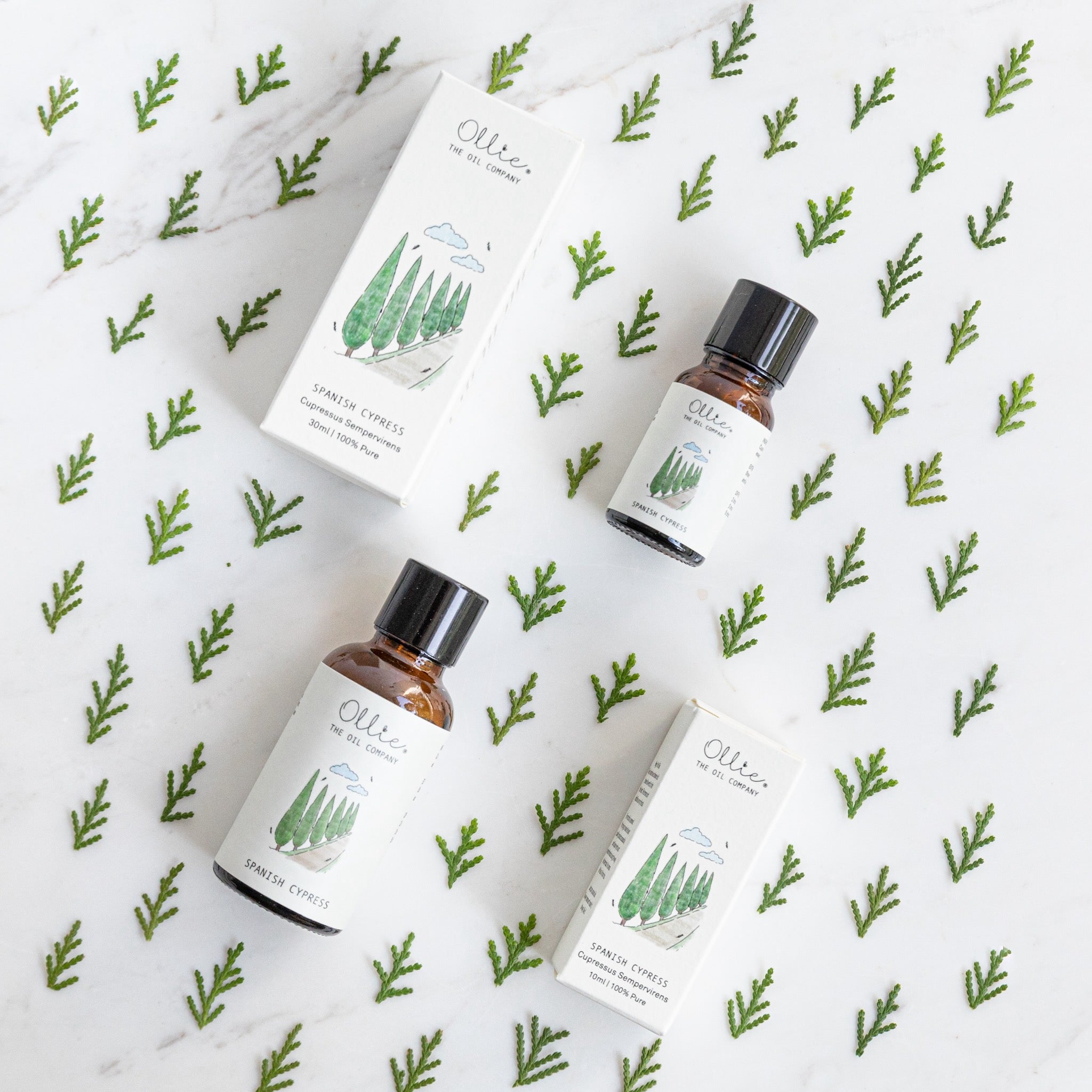 Ollie Spanish Cypress Oil | Home fragrances | The Green Collective SG
