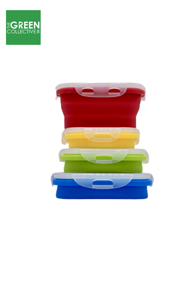 Set of 4 Silicone Food Storage Set/ Compact/ Space Saving/ Food Grade/ BPA Free/Bento Lunch Box