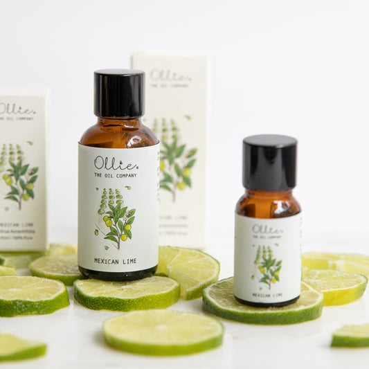 Ollie Mexican Lime Oil | Home fragrances | The Green Collective SG