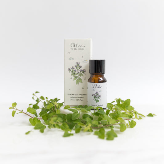Ollie Hungarian Oregano Oil | Skincare Oils | The Green Collective SG