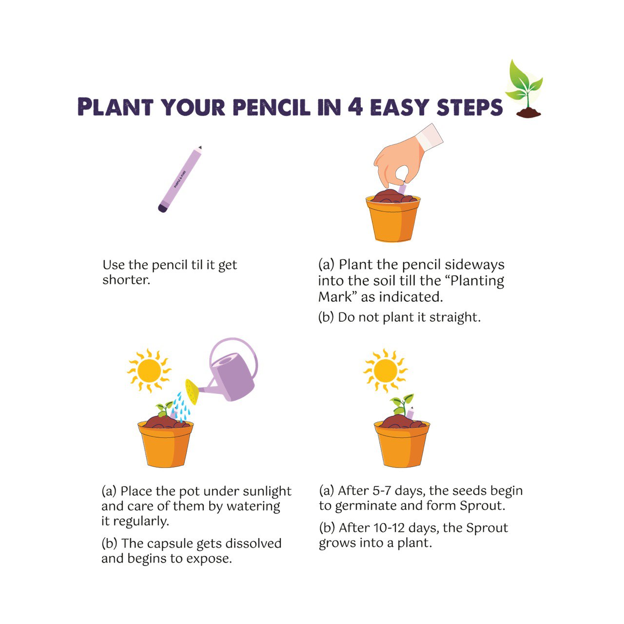 Purple & Pure EcoGrow Seed Pencils | Buy at The Green Collective