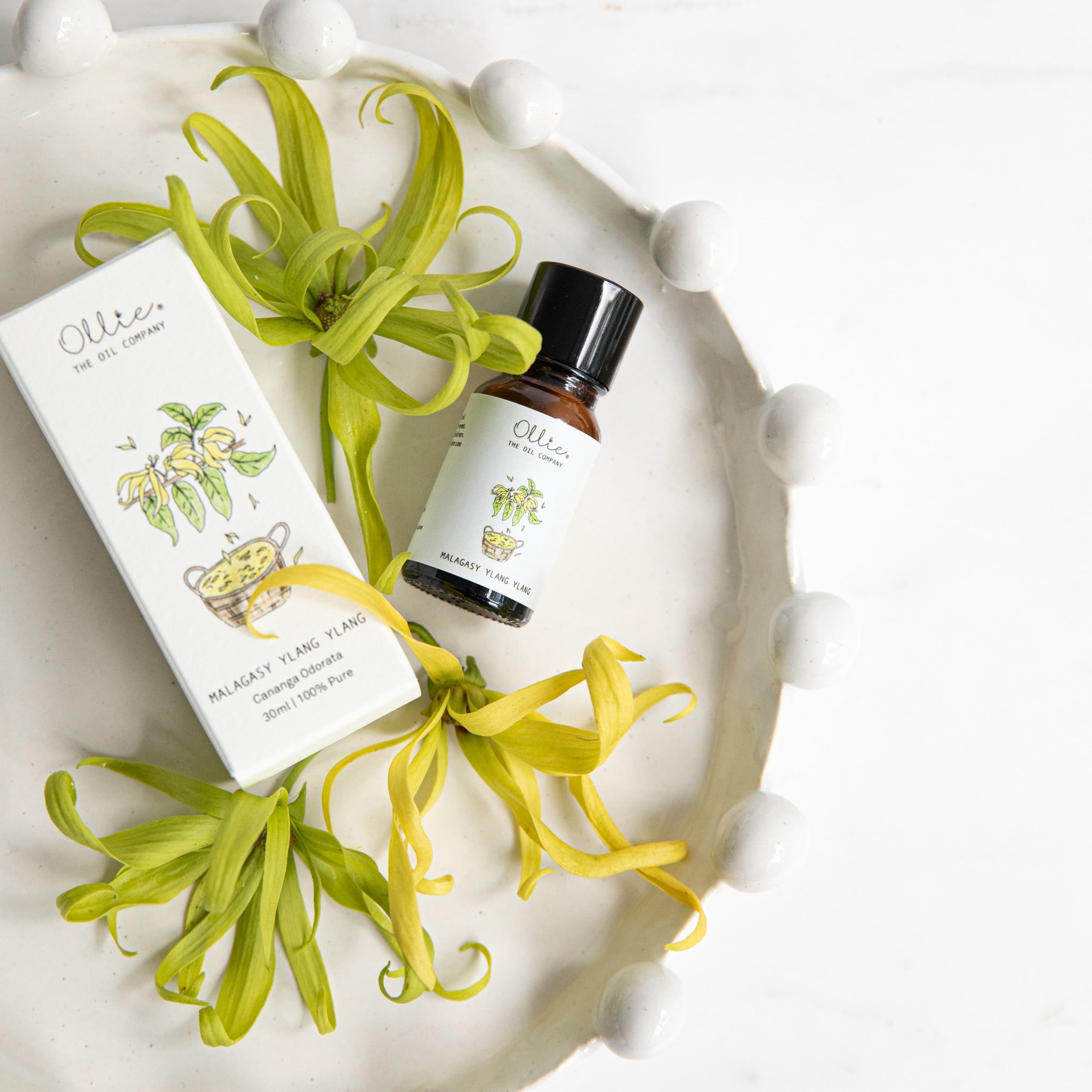 Ollie Malagasy Ylang Ylang Oil | Home fragrances | The Green Collective SG