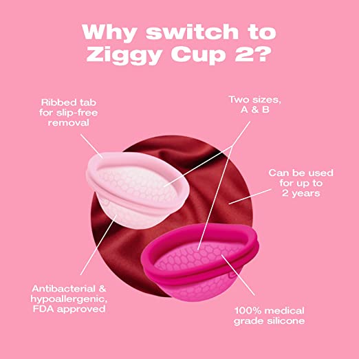 Ziggy Cup 2 Disc by The Period Co. | Get it at The Green Collective