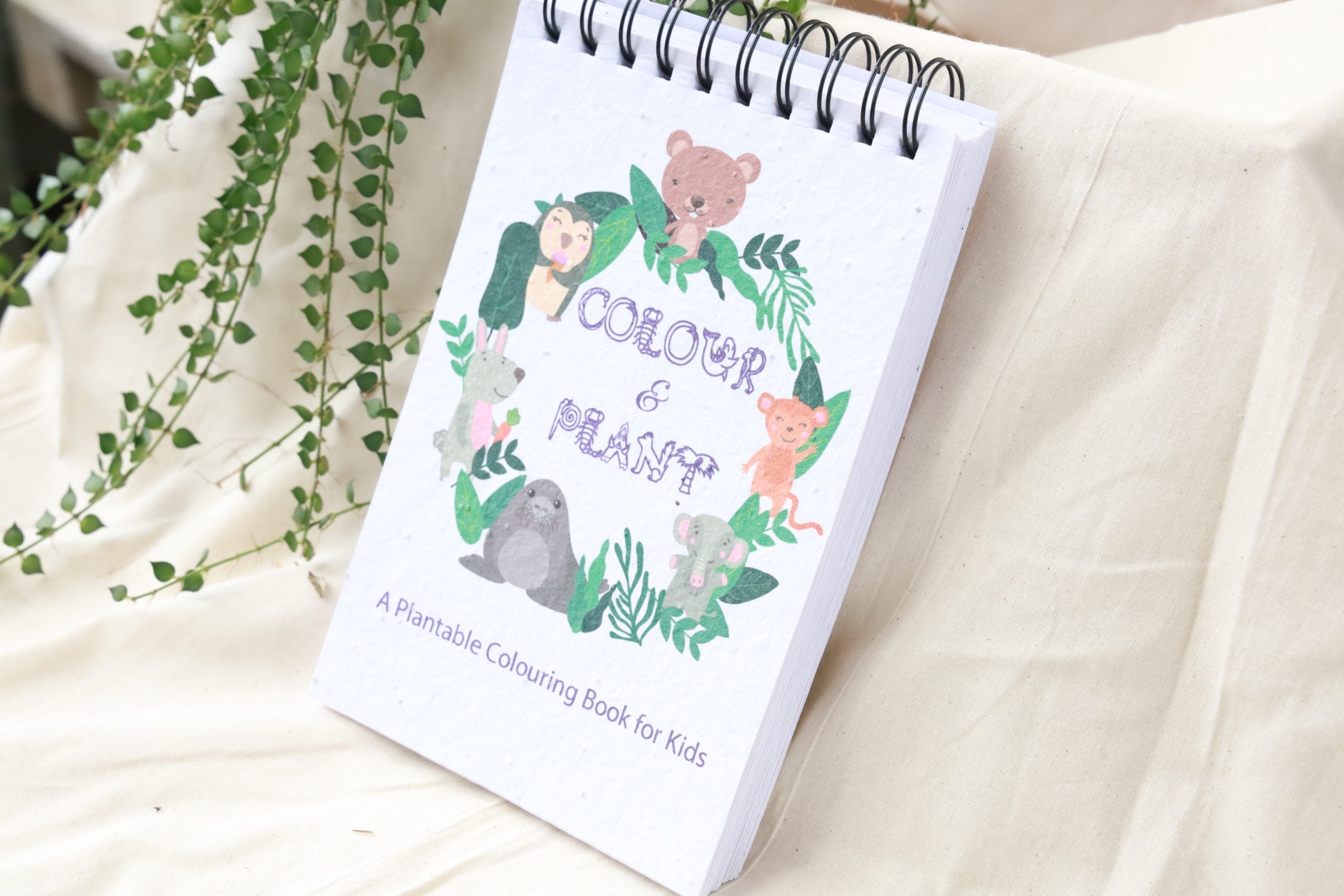 Purple & Pure Colouring Gift Kit | Buy at The Green Collective