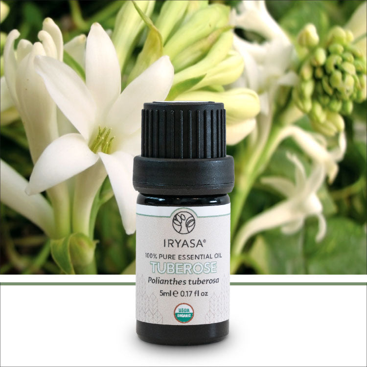 Iryasa Mini Essential Oils 5ml | Available at The Green Collective