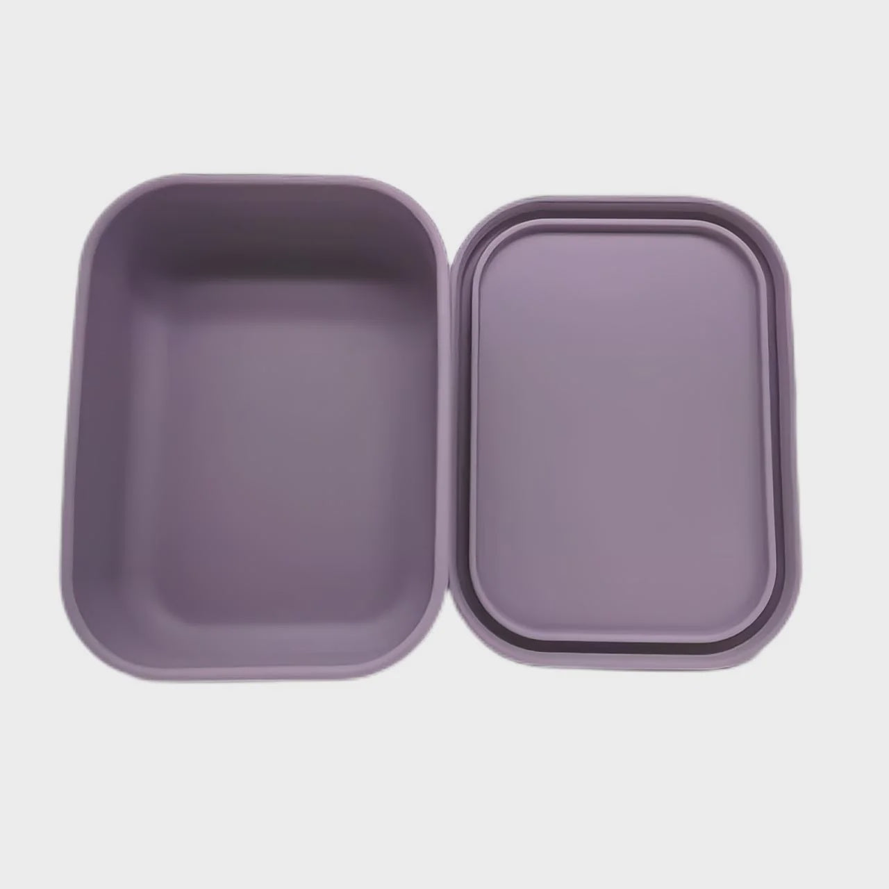 Rectangle Lunch Box with NO Compartments - Purple