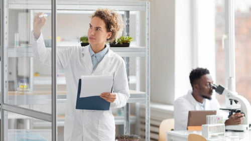 Certifying on the New B Lab Standards: How Your Company Can Lead the Way in 2026