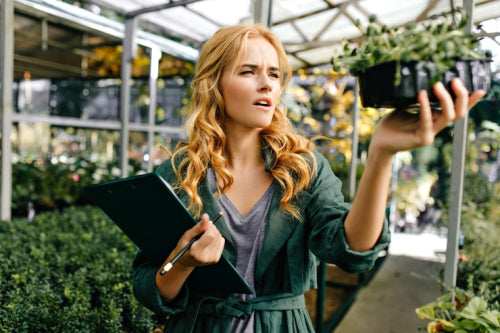 Sustainability Trends Businesses Must Address in 2026