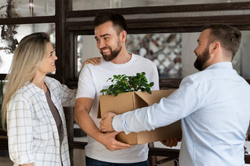 Corporate and Family Gifting Moves Toward Sustainable Options