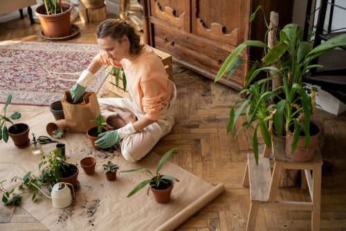Eco-Friendly Home Decor Trends for Modern Family Living