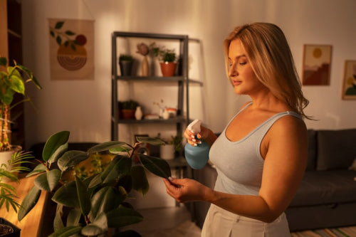 Top Innovations in Sustainable Home Decor for 2026
