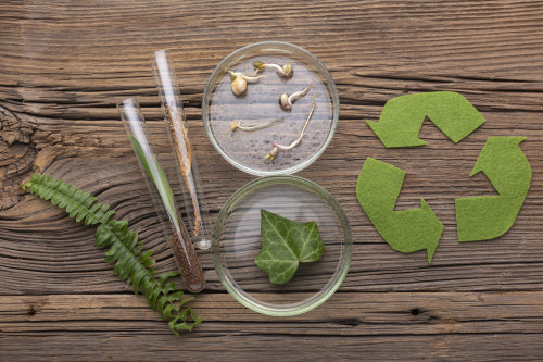 The Science Behind Biodegradable Materials You Should Know