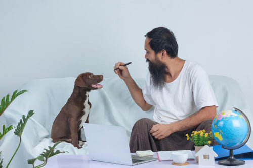 How to Vet Brands for True Sustainability Claims