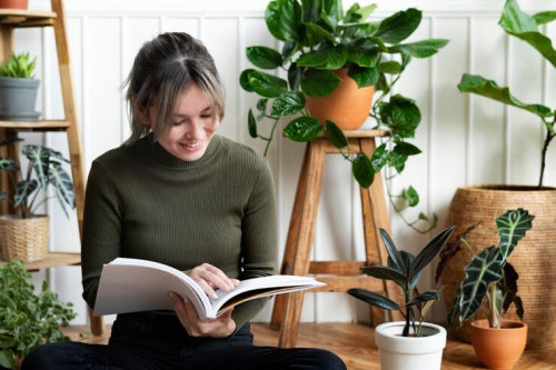 Green Living for Beginners: Where to Start