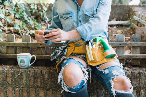DIY Eco-Friendly Home Projects for Beginners