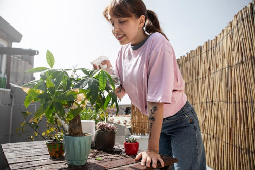 Urban Gardening Tips for Small Spaces