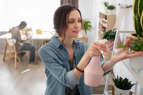 How to Incorporate Eco-Friendly Habits into Your Daily Routine