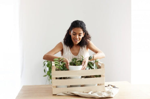 Why Plant-Based Materials Are Transforming Homeware