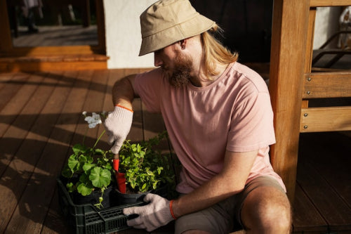 Urban Gardening as a Tool for Sustainable City Living