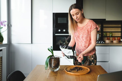 The Practical Benefits of Composting at Home