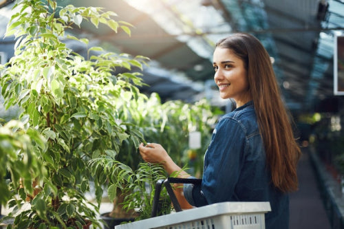 Physical Stores Building Trust in Sustainable Retail