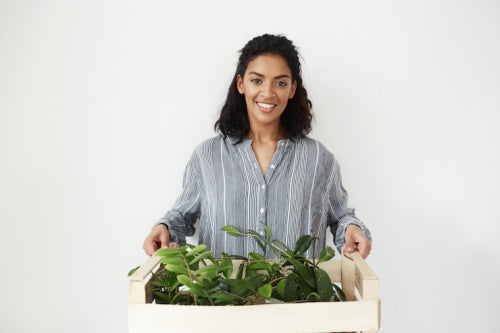 Supporting Consumers Through Verified Eco-Friendly Brands