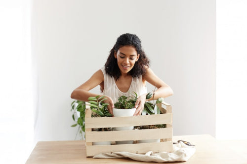 Why Sustainable Products Are Becoming Part of Daily Life