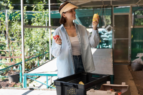 How Composting Supports a Lower-Waste Lifestyle