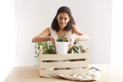 Why Eco-Friendly Products Make Better Everyday Gifts