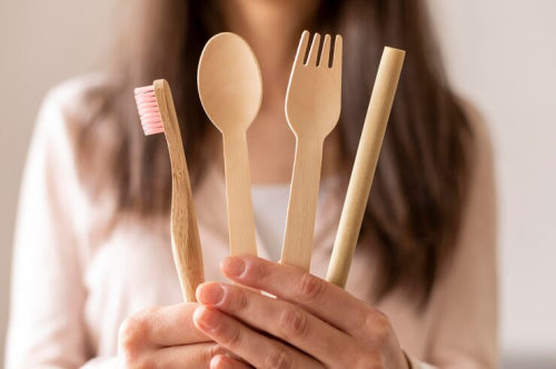 Bamboo Toothbrush vs Plastic Toothbrush: What Should You Choose?
