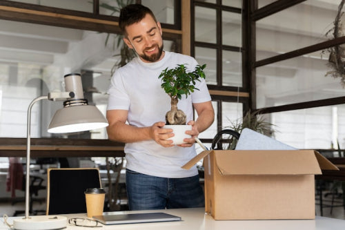 How to Choose Eco-Friendly Products for Office Use