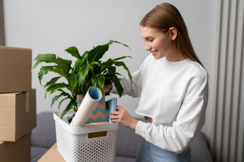 How Eco-Friendly Home Products Support Greener Living