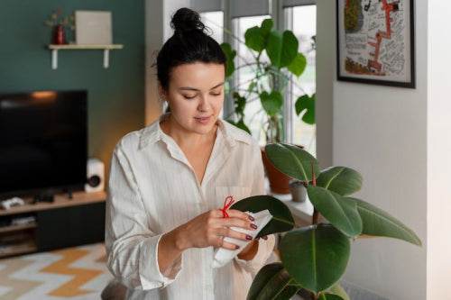 What to Know About Sustainable Personal Care Products