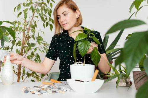How to Start an Eco-Friendly Lifestyle Without Feeling Overwhelmed
