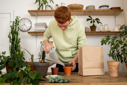 Why Compostable Products Are Becoming Household Essentials