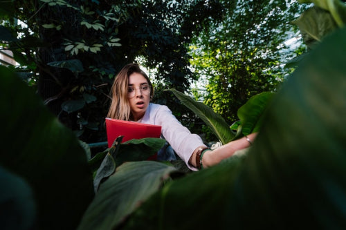 Why Green Living Is About Progress, Not Perfection